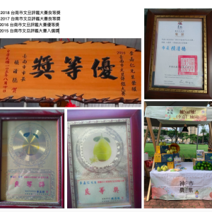 麻豆文旦