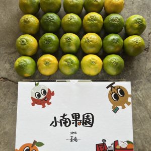 青皮椪柑禮盒