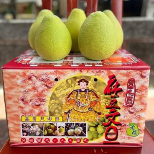 文旦