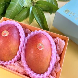 農芒-金選愛文芒果禮盒(2入)