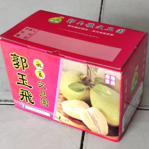 郭玉飛麻豆文旦