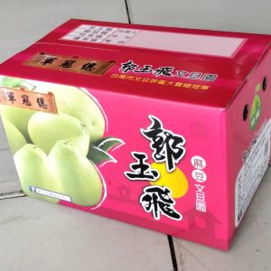 郭玉飛麻豆文旦